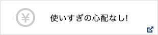 使いすぎの心配なし!