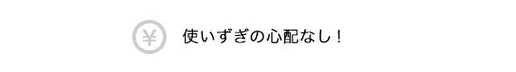 使いずぎの心配なし！