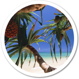 リゾート - Resort -