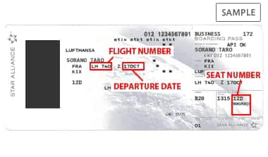 The information that must be entered FLIGHT NUMBER, DEPARTURE DATE, SEAT NUMBER.