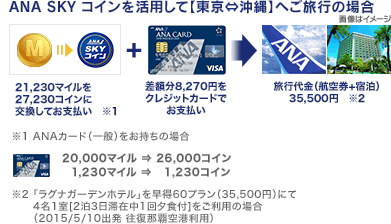 ANA SKY コインを活用して【東京⇔沖縄】へご旅行の場合