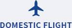 DOMESTIC FLIGHT