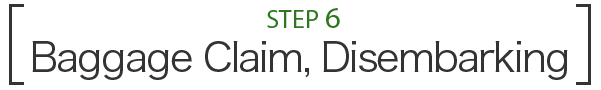 STEP 6 Baggage Claim, Disembarking