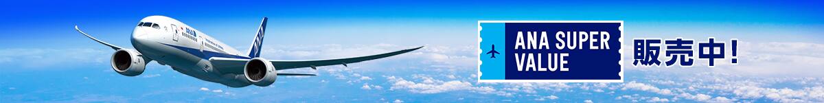 ANA SUPER VALUE販売中！