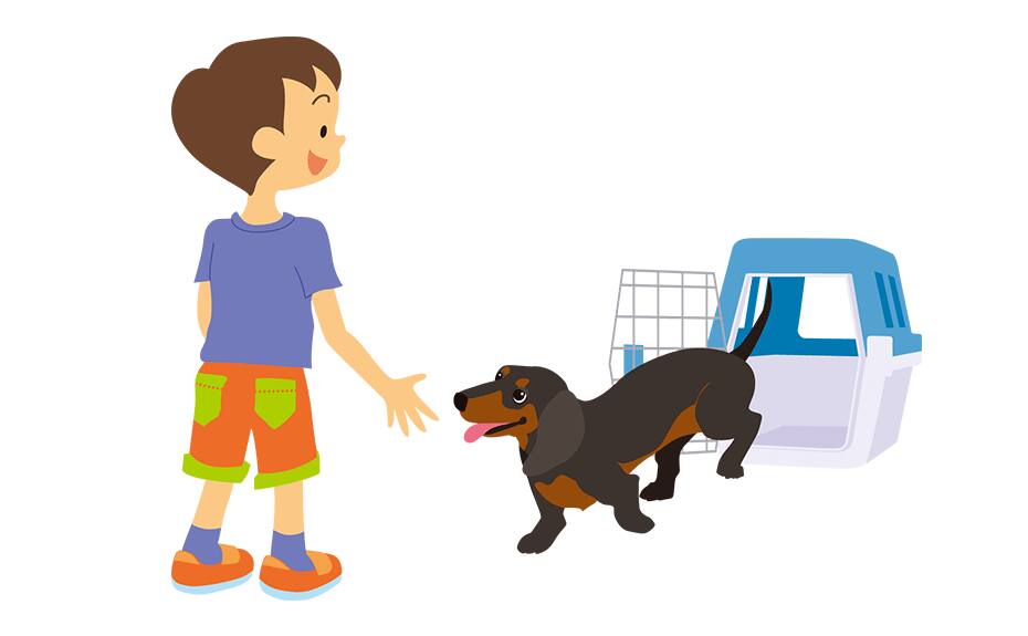 Image of boy and dog