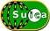 Suica (ANA VISA Suica Card Cardholders Only)