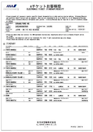 Sample e-Ticket Itinerary Receipt