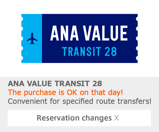 ANA VALUE TRANSIT 28