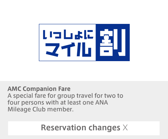 AMC Companion Fare