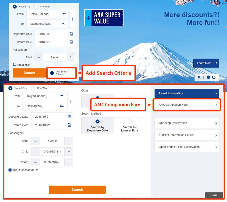 Screen capture of the ASW Domestic Flights page 