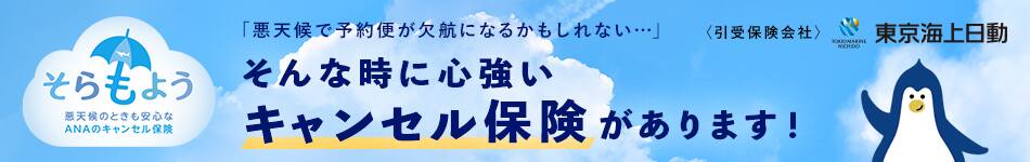 悪天候のときも安心なANAのキャンセル保険「そらもよう」　「悪天候で予約便が欠航になるかもしれない・・・」そんな時に心強いキャンセル保険があります！　＜引受保険会社＞東京海上日動