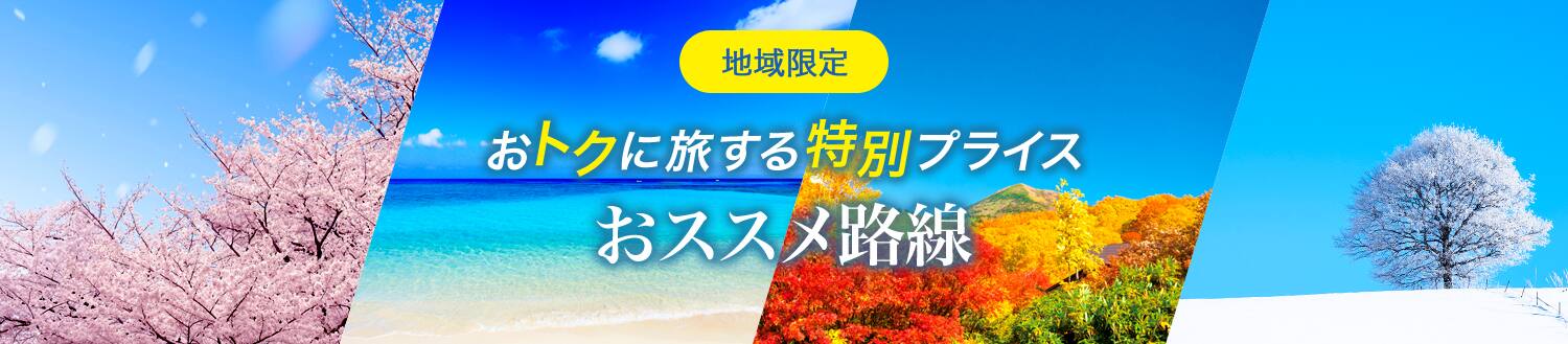 地域限定 おトクに旅する特別プライス おススメ路線