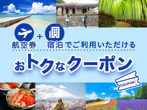 航空券+ホテル：国内ツアー（ダイナミックパッケージ）
