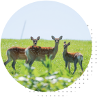 北海道連携プロジェクト イメージ4