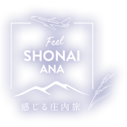Feel Shonai ANA