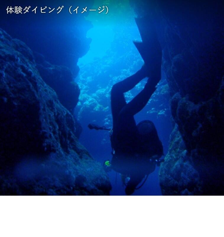 体験ダイビング（イメージ）
