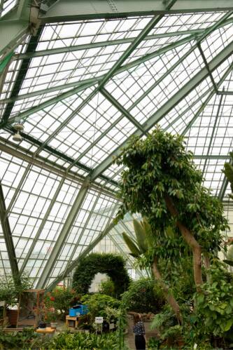 函館市熱帯植物園