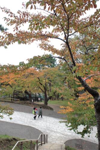 函館公園
