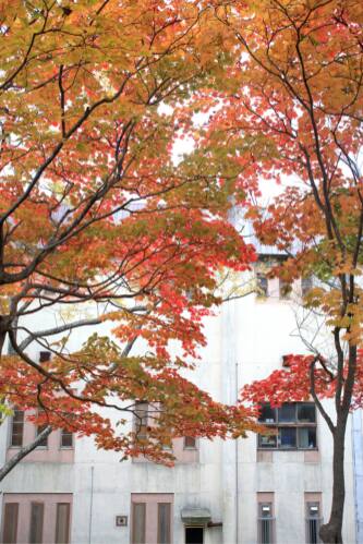 函館公園