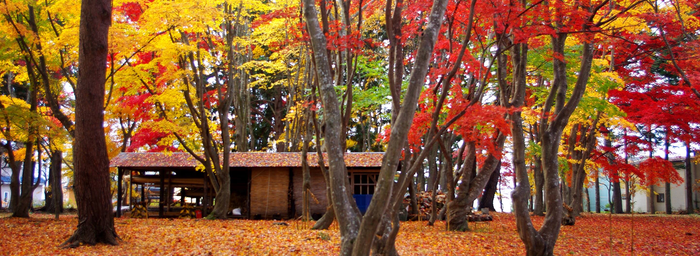 メインビジュアル