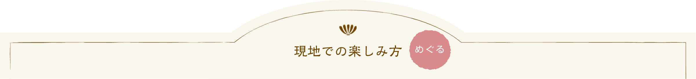 現地での楽しみ方