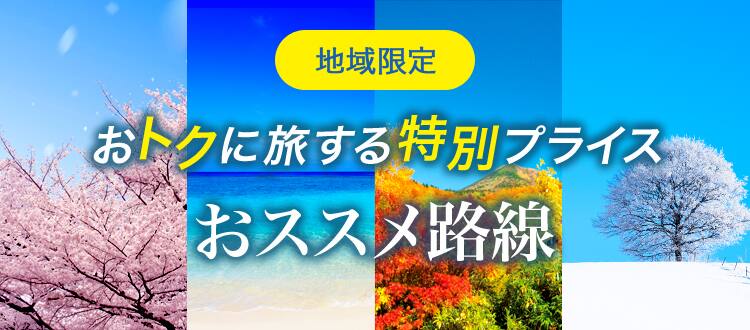 地域限定 おトクに旅する特別プライス おススメ路線