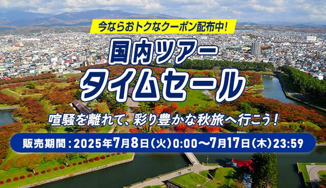 ダミー
