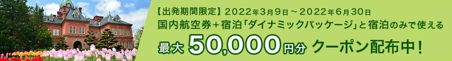 最大50,000円分クーポン配布中！