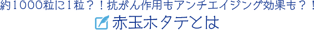 約1000粒に1粒？！抗がん作用もアンチエイジング効果も？！赤玉ホタテとは