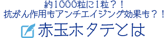 約1000粒に1粒？！抗がん作用もアンチエイジング効果も？！赤玉ホタテとは