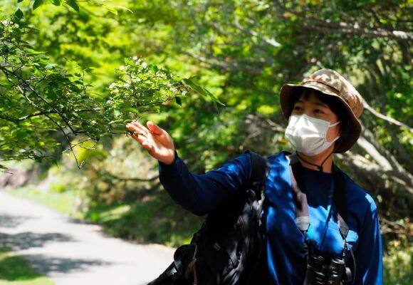 三重県民の森 体験イメージ1