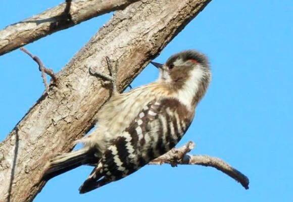 三重県民の森 体験イメージ3