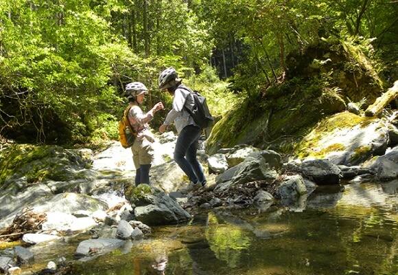 山林王の森と滝アドベンチャーBIKE&HIKE【E-bike】体験イメージ2