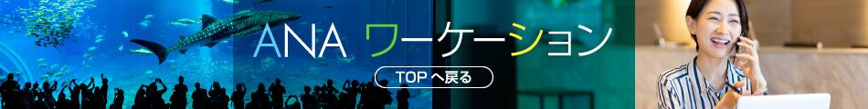 ANA ワーケーション