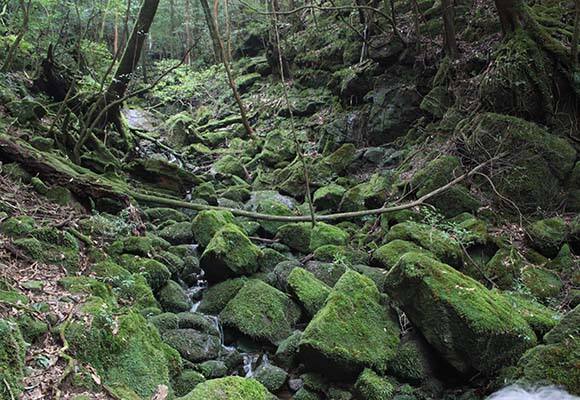 旅館桐乃湯 温泉