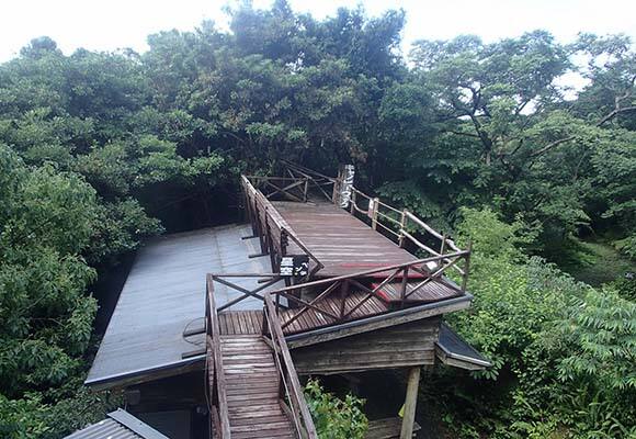 旅館桐乃湯 外観