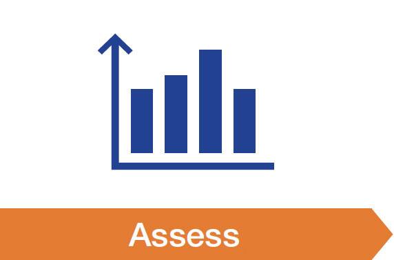 2.Assess
