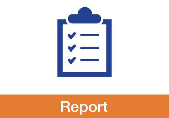 4.Report
