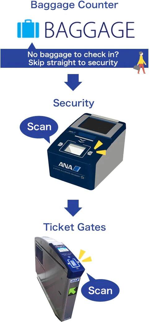 This image shows the procedures from the baggage drop counter up to the boarding gate.