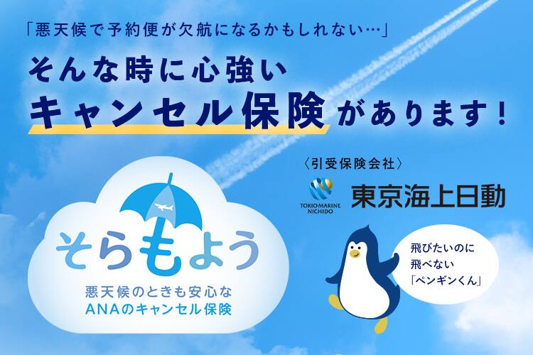 「悪天候で予約便が欠航・遅延するかもしれない」「入場券を購入した参加予定のイベントが中止・延期になるかもしれない」「急な宿泊出張で予約を取り消さなければならない」そんな時に心強いキャンセル保険があります！