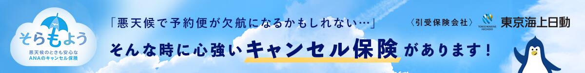 悪天候のときも安心なANAのキャンセル保険「そらもよう」　「悪天候で予約便が欠航になるかもしれない・・・」そんな時に心強いキャンセル保険があります！　＜引受保険会社＞東京海上日動