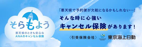 悪天候のときも安心なANAのキャンセル保険「そらもよう」　「悪天候で予約便が欠航になるかもしれない・・・」そんな時に心強いキャンセル保険があります！　＜引受保険会社＞東京海上日動