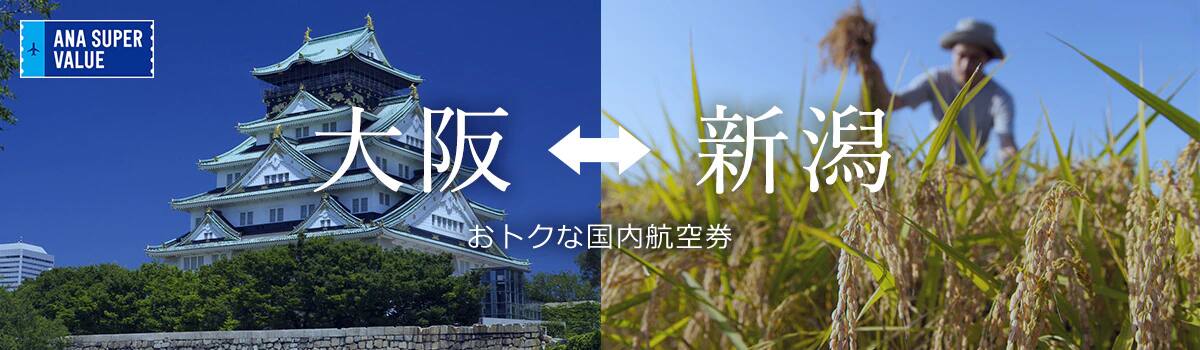 旅の計画はお早めに！おでかけはおトクな「ANA SUPER VALUE」で♪