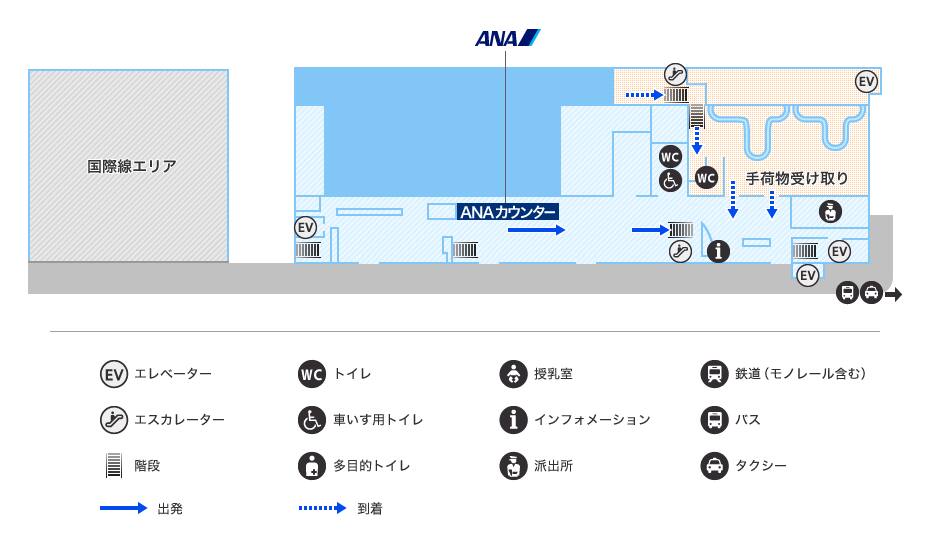 MAP画像