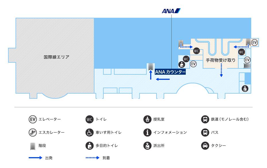 MAP画像