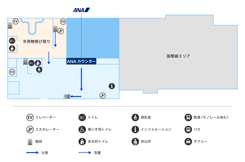MAP画像