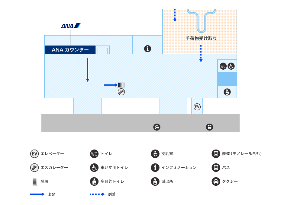 MAP画像