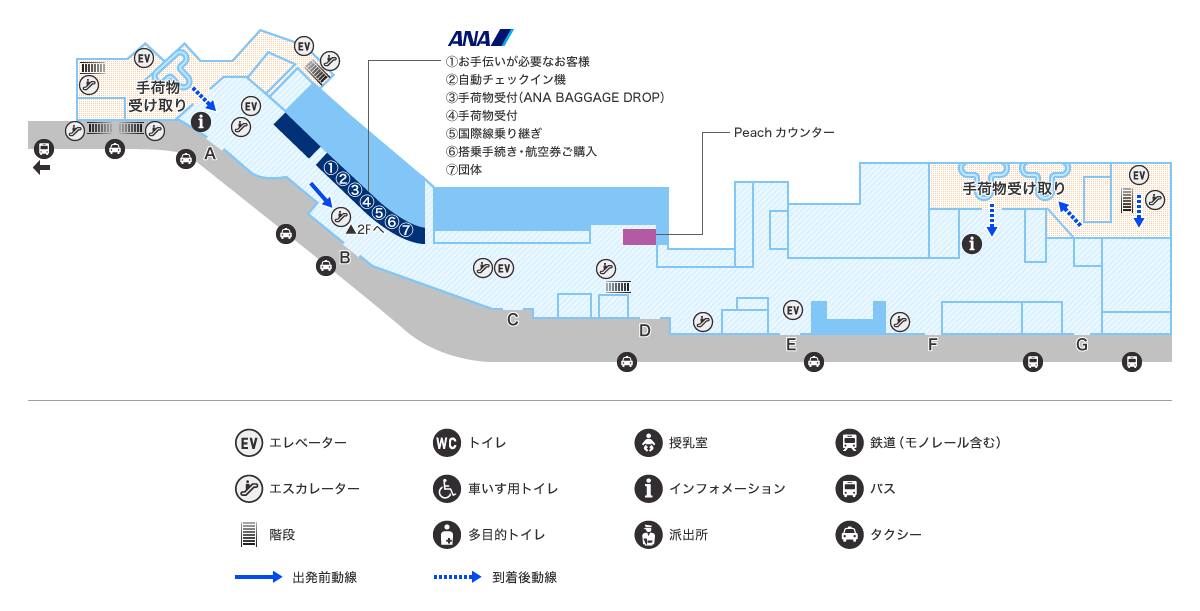 MAP画像