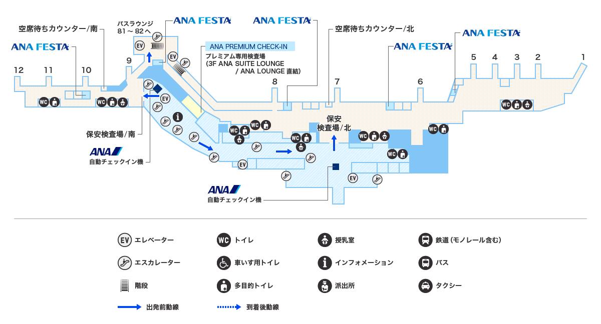 MAP画像