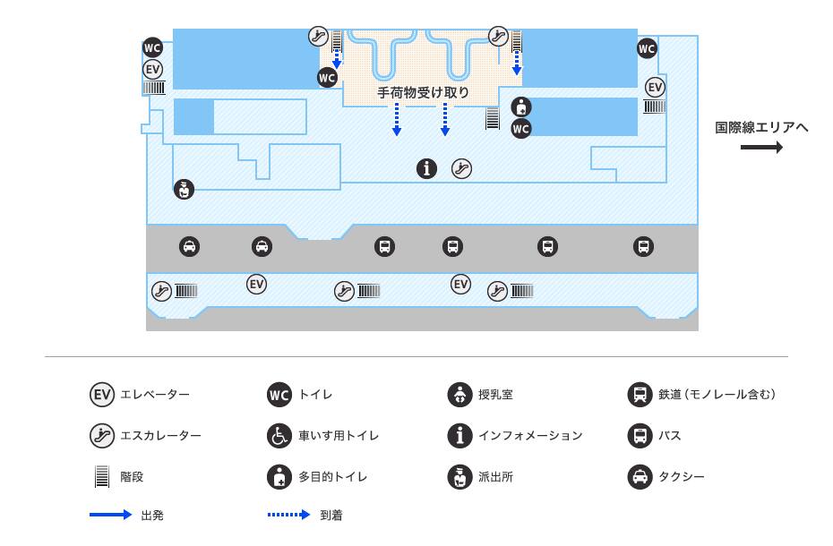 MAP画像